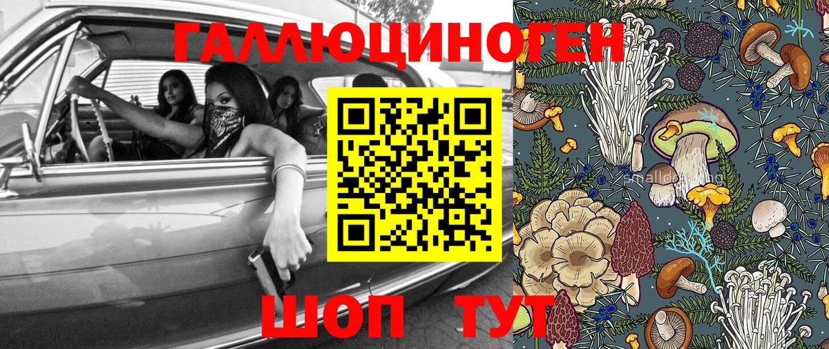 Вольск  Галлюциногенные грибы Magic Shrooms  Вход с VPN 