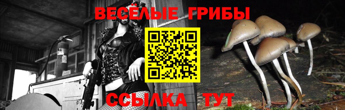 Галлюциногенные грибы Magic Shrooms Вольск